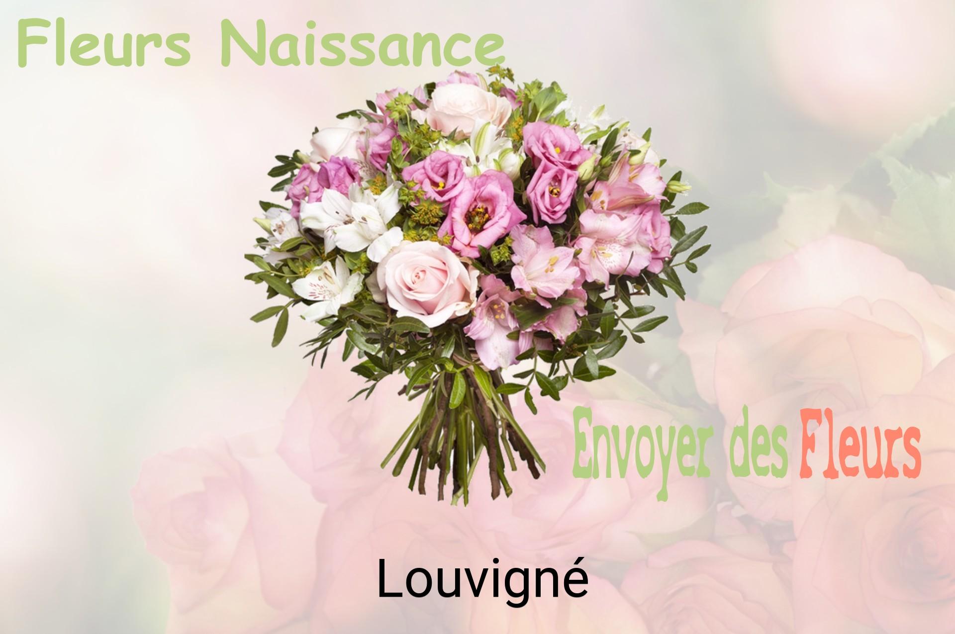 Bouquet de fleurs de naissance livré à Louvigné